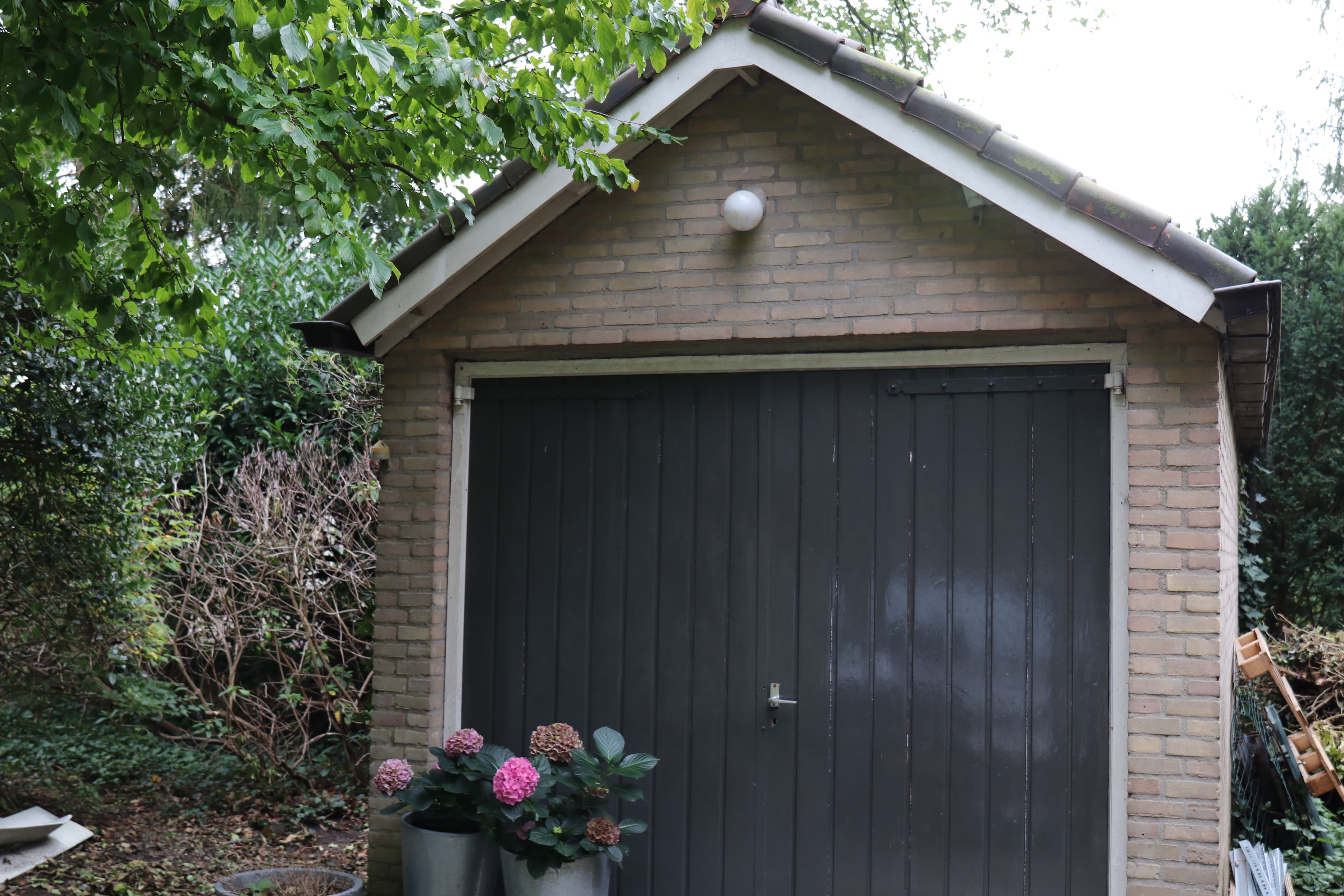 Image alternative text