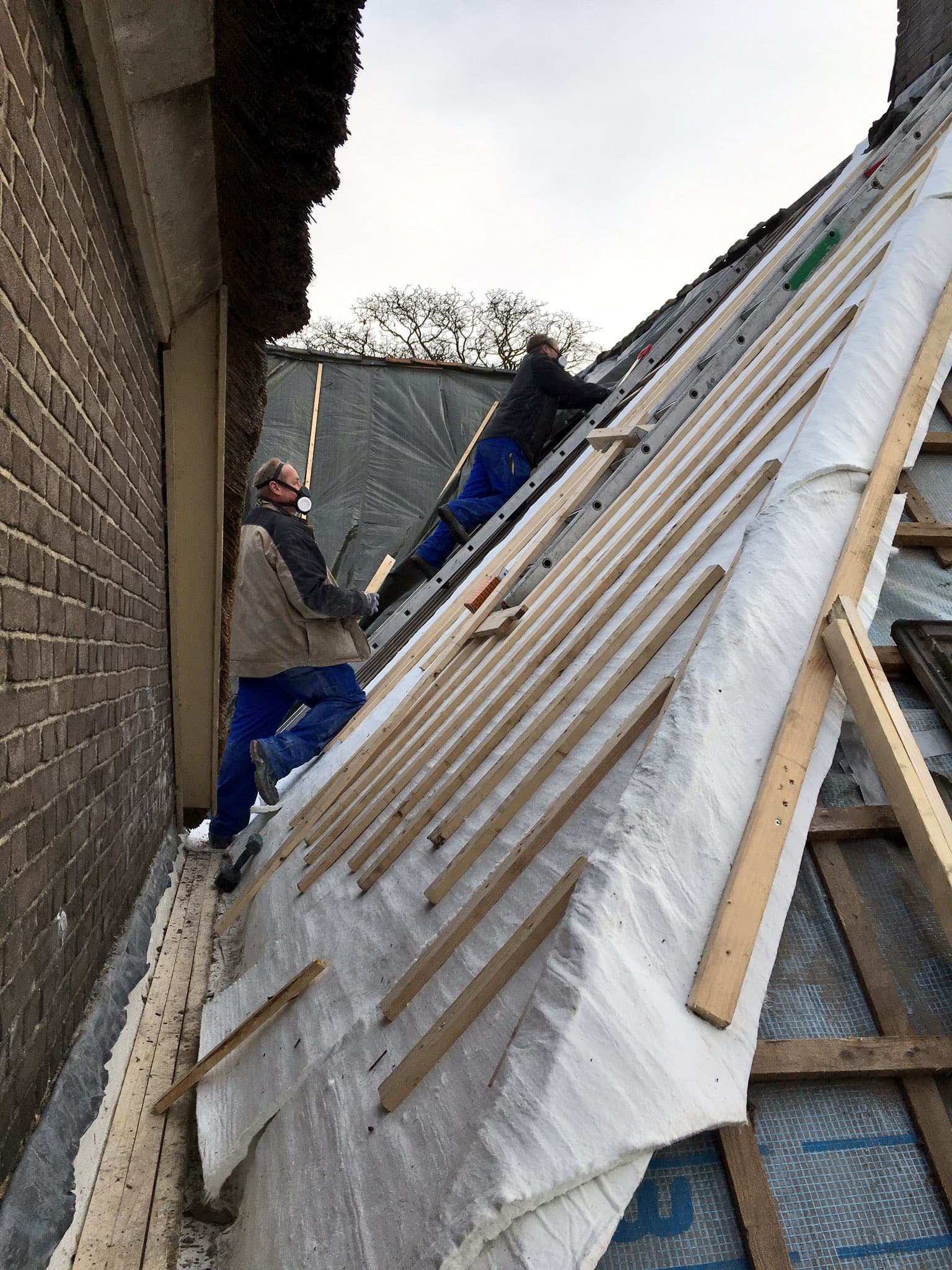 Image alternative text