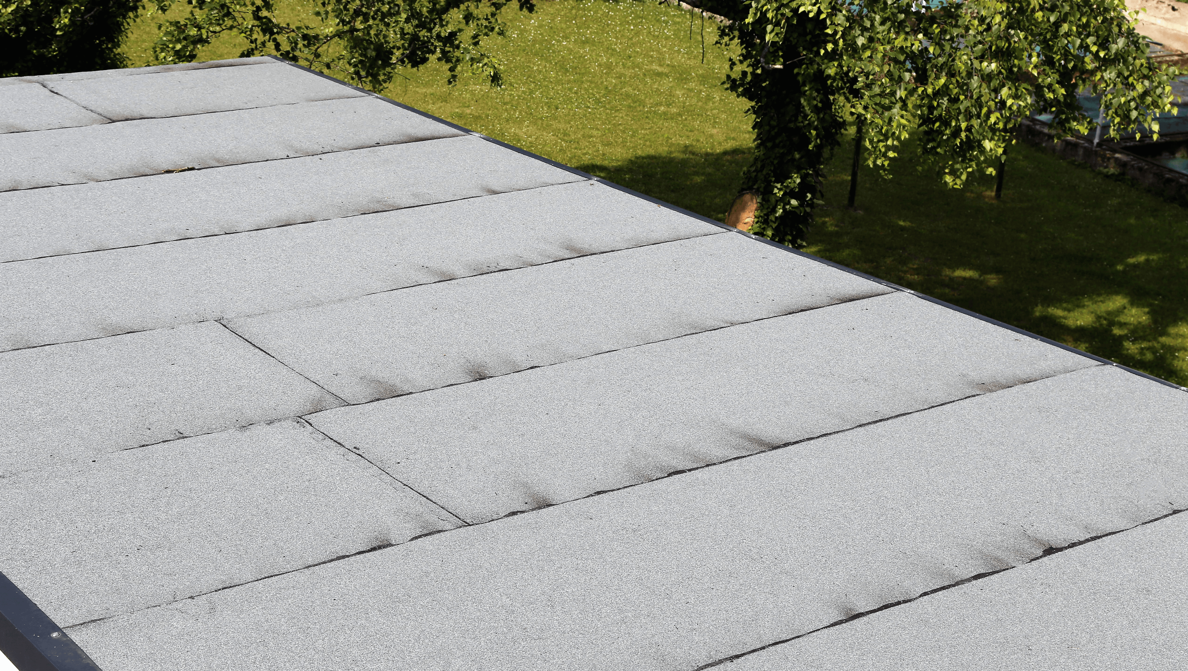 Image alternative text