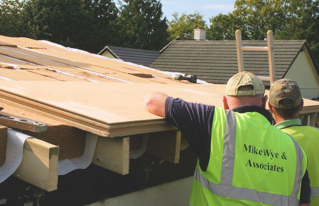 Holzfaserplatten von Pavatex in verschiedenen Größen